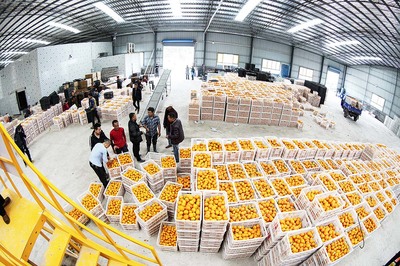 重庆农产品出口能否走“特而美”之路