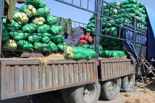农产品物流运输叫屈 菜价低迷与油价高企仍是主要瓶颈