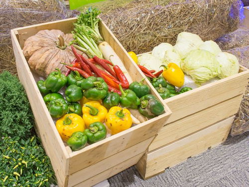 农产品质量安全追溯系统 记录农产品的“前世今生”