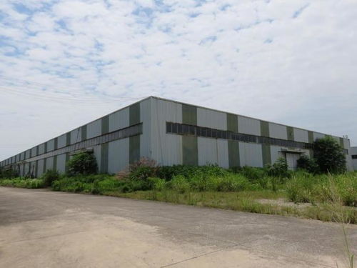 金华市287亩食品厂以1.44亿元底价成功拍卖，竞得者瞄准农产品发展新机遇