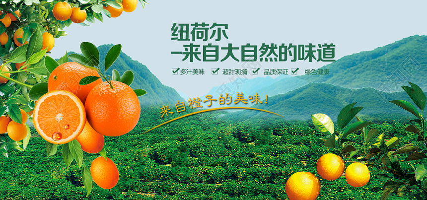 田野珍馐 缤纷农产品美食与新鲜水果海报设计指南