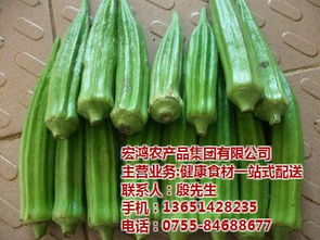 宏鸿农产品集团 创新工厂食材配送，打造农产品供应链新高地