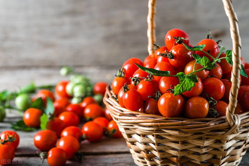 农产品质量安全问题的成因与探讨