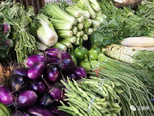 农产品冷链物流 以“冷”为基，更需“链”通全局