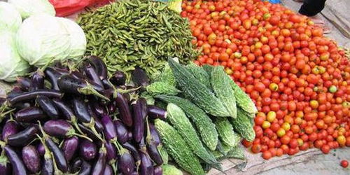 安徽马鞍山多措并举力保农产品稳产保供